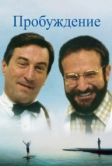 Пробуждение (1990)